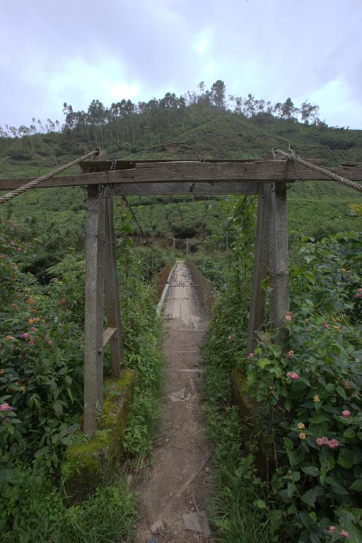 Grand Plaza Hotel Munnar Esterno foto