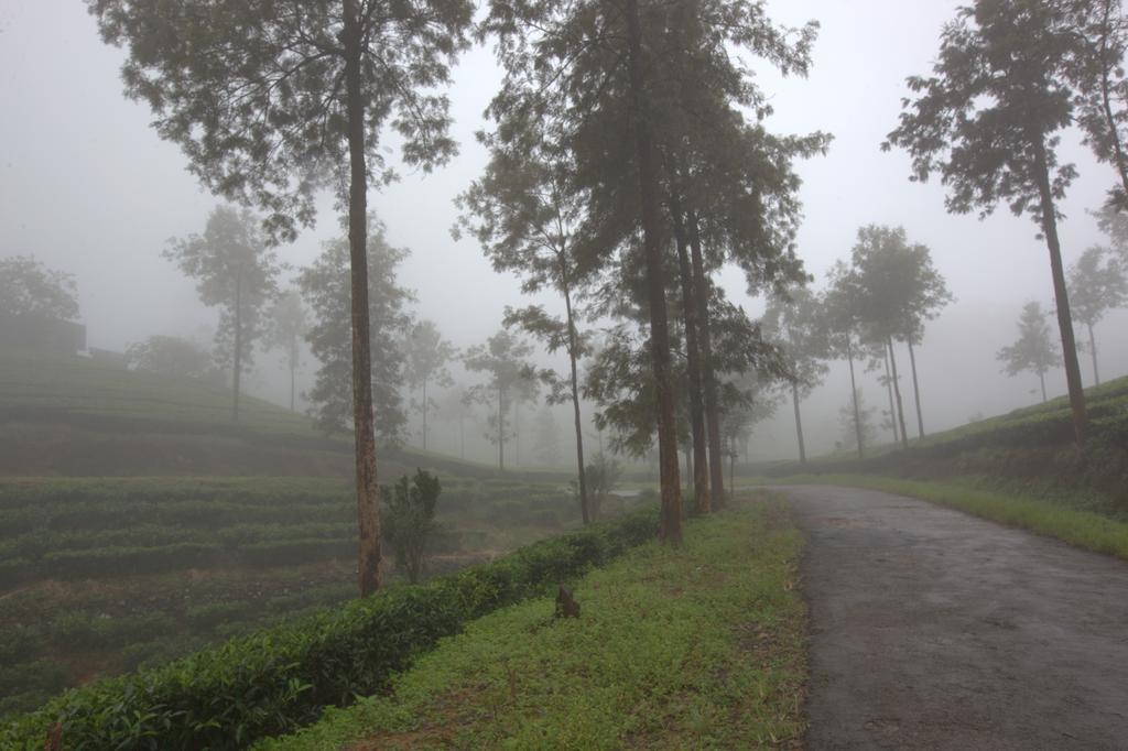 Grand Plaza Hotel Munnar Esterno foto