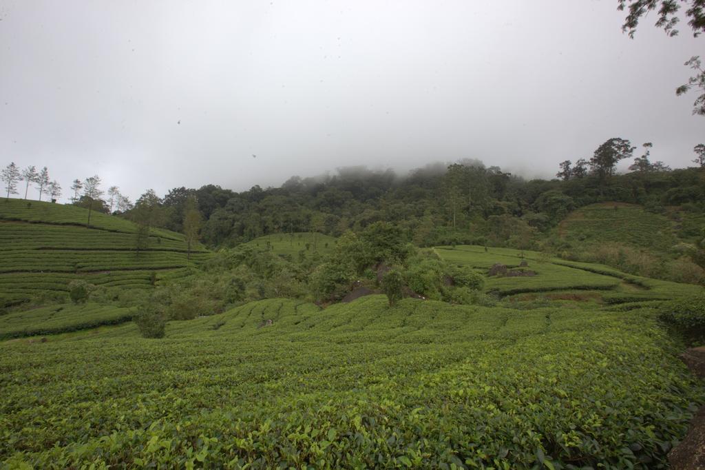 Grand Plaza Hotel Munnar Esterno foto